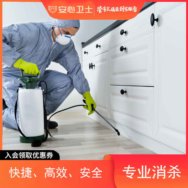 灭虫消杀服务